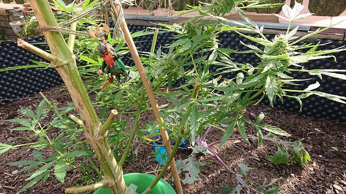 Growreport Bild 24
