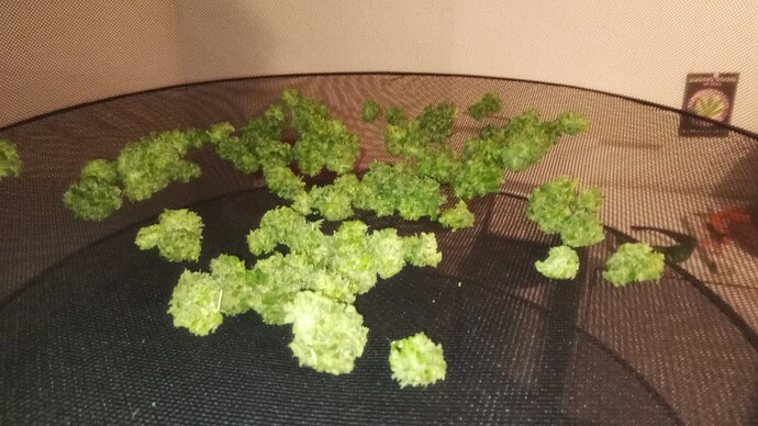 Growreport Bild 13