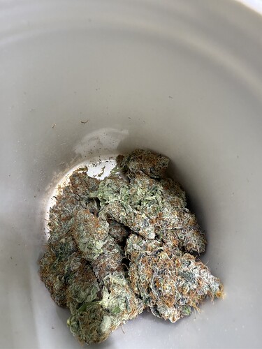 Growreport Bild 19