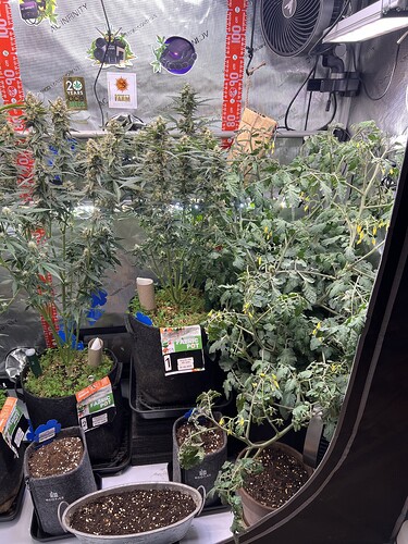 Growreport Bild 16