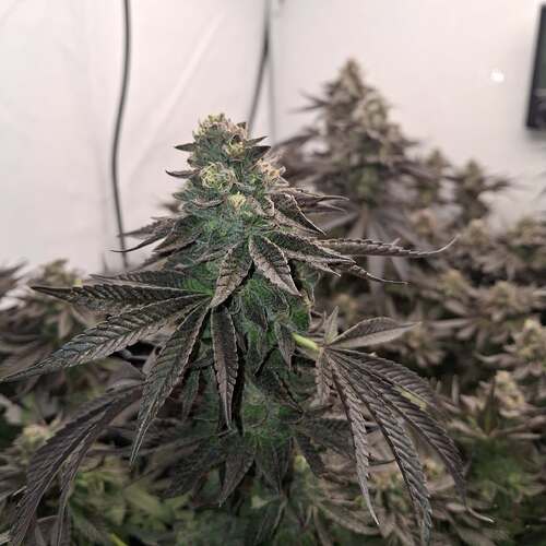 480258074_122170052954293599_2524868283422004799_n