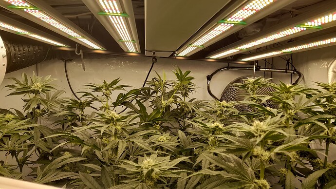 Growreport Bild 4