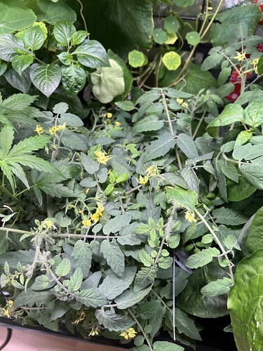 Growreport Bild 16