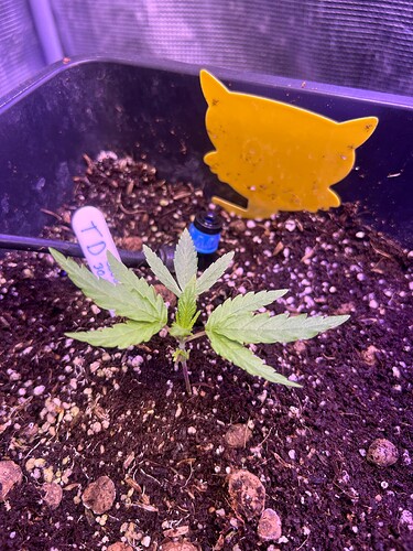 Growreport Bild 13