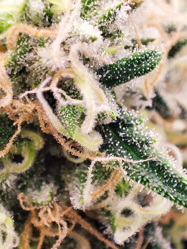 Growreport Bild 24