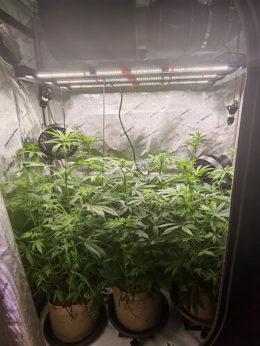 Growreport Bild 1