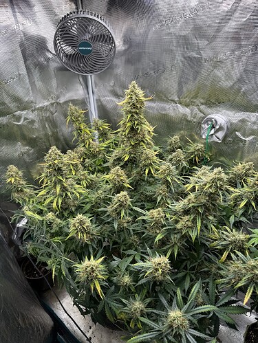 Growreport Bild 24