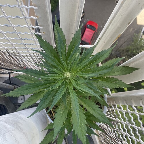 Growreport Bild 18