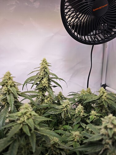 MVIMG_20251109_200725