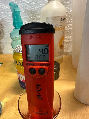Growreport Bild 36