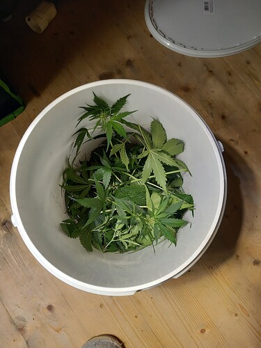 Growreport Bild 7