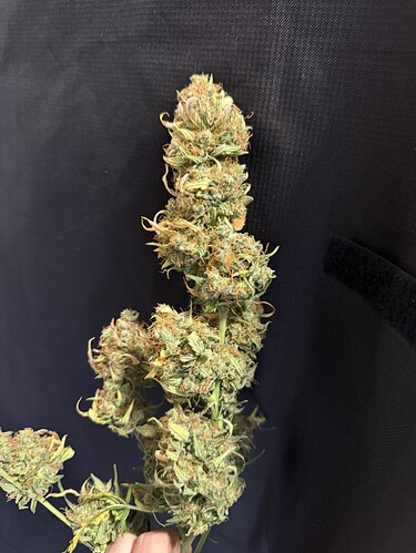 Growreport Bild 13