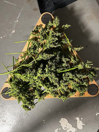 Growreport Bild 6
