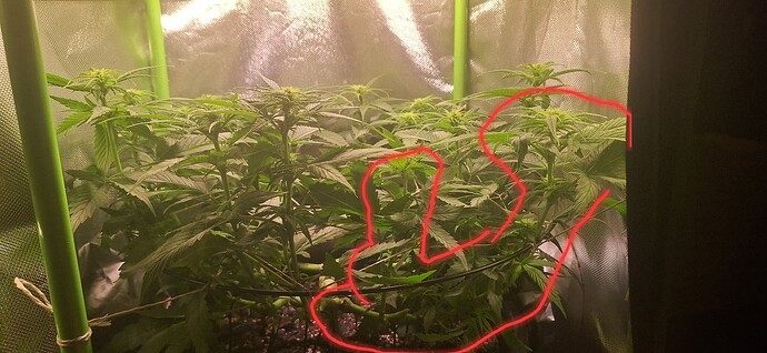 Growreport Bild 16