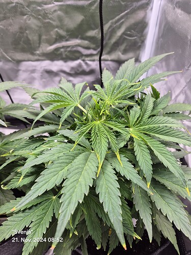 Growreport Bild 7