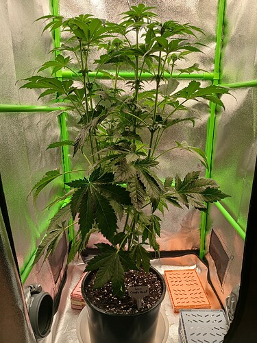 Growreport Bild 11