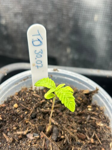Growreport Bild 30