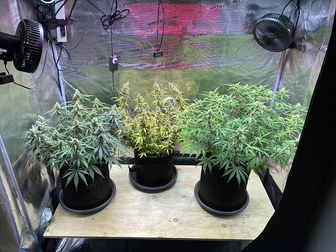 Growreport Bild 109