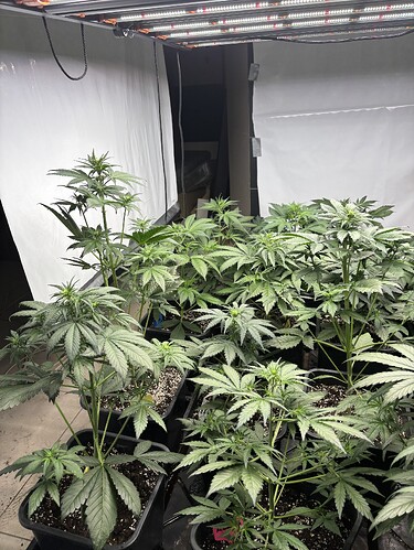 Growreport Bild 11