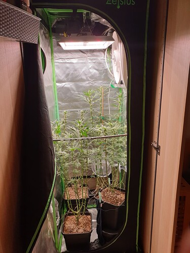 Growreport Bild 10