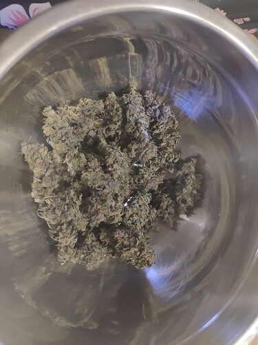 Growreport Bild 23