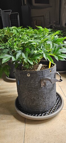 Growreport Bild 7