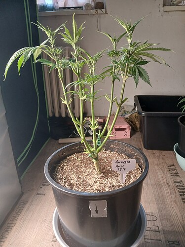 Growreport Bild 15