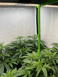 Growreport Bild 24