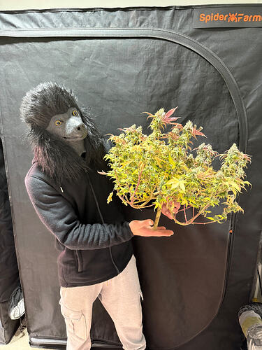 Growreport Bild 26