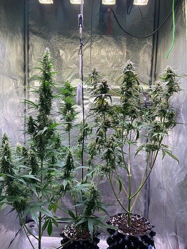 Growreport Bild 5