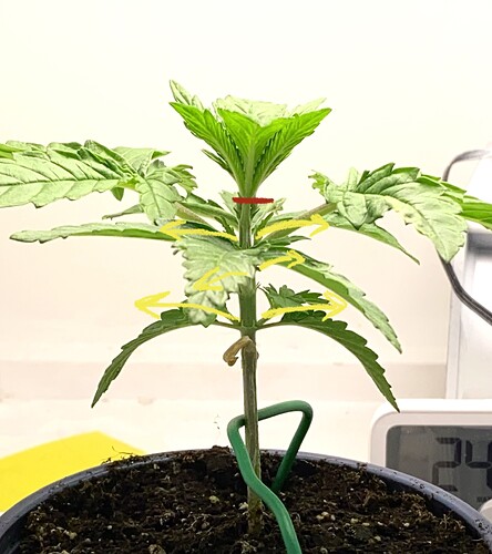 Growreport Bild 11