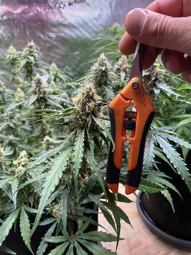 Growreport Bild 11
