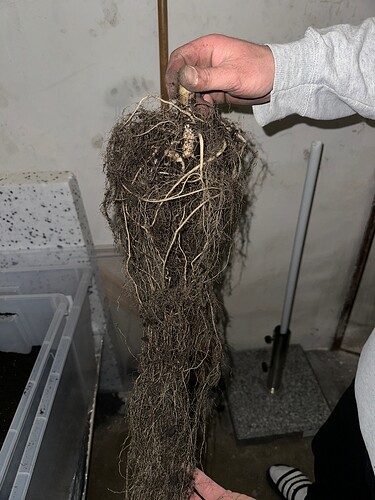 Growreport Bild 24