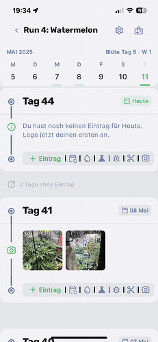 Growreport Bild 1