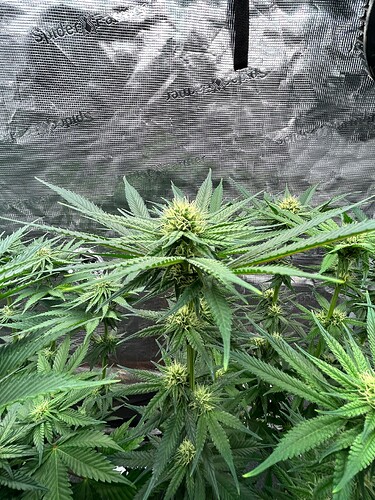 Growreport Bild 2