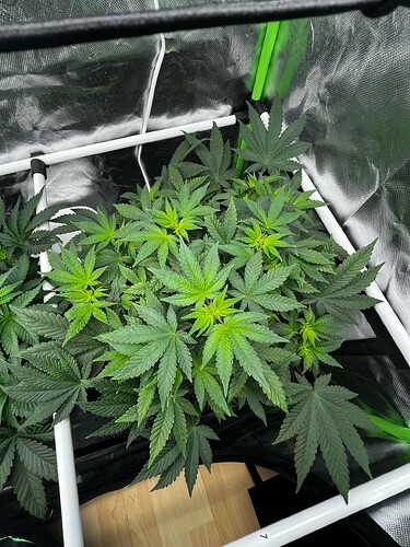 Growreport Bild 4