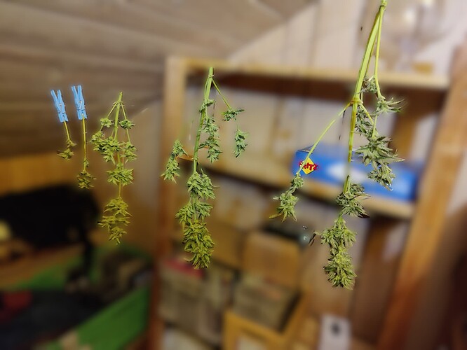 Growreport Bild 6
