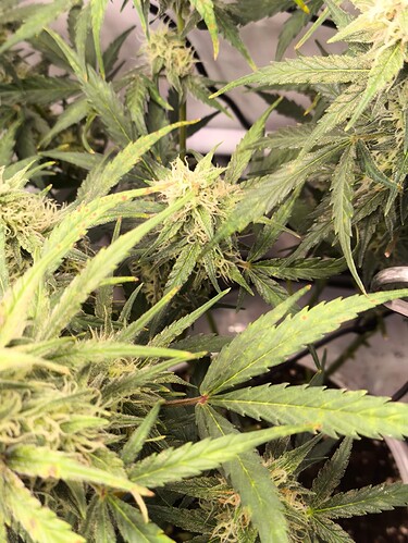 Growreport Bild 22