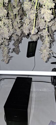 Growreport Bild 47