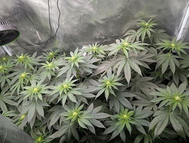 Growreport Bild 1