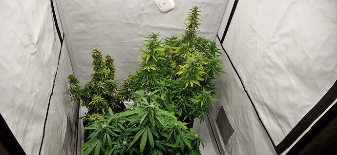 Growreport Bild 16