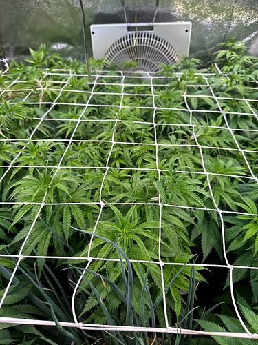 Growreport Bild 12