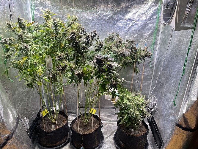 Growreport Bild 11