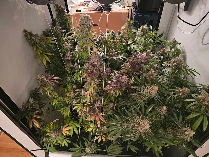 Growreport Bild 2