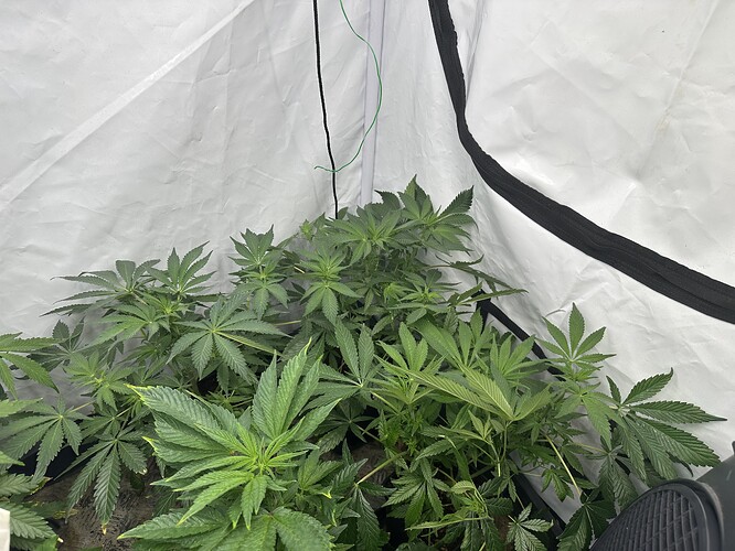 Growreport Bild 10