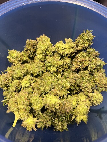 Growreport Bild 4