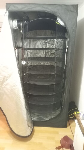 Growreport Bild 1