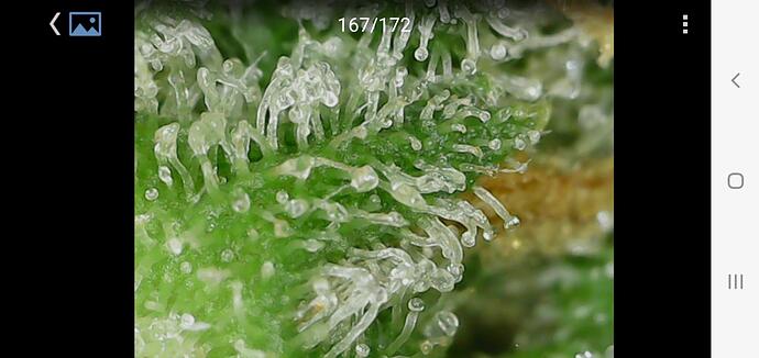 Growreport Bild 16
