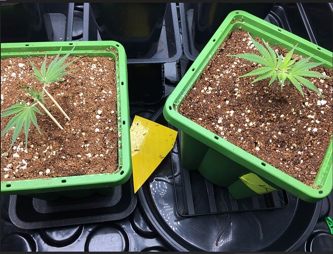 Screenshot 2024-11-13 082656