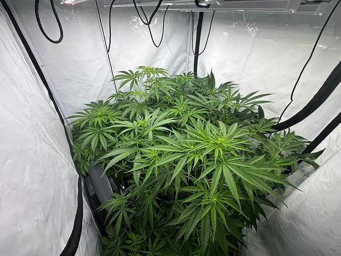 Growreport Bild 1